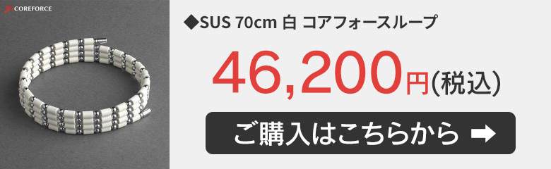 コアフォースループ K10シリーズ ホワイトゴールド 50cm 50センチの