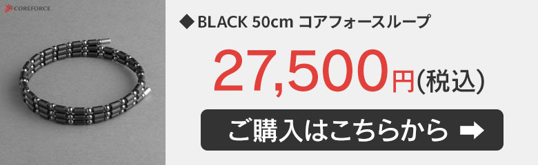 コアフォースループ ホワイト ホワイトゴールド K10 50cm