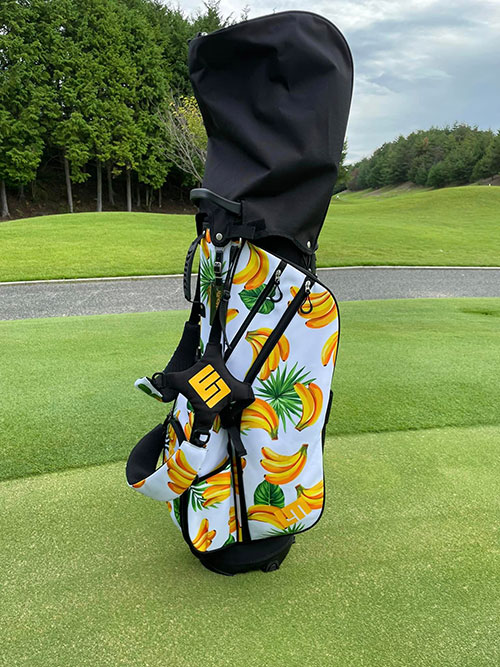 Loudmouth stand caddy bag