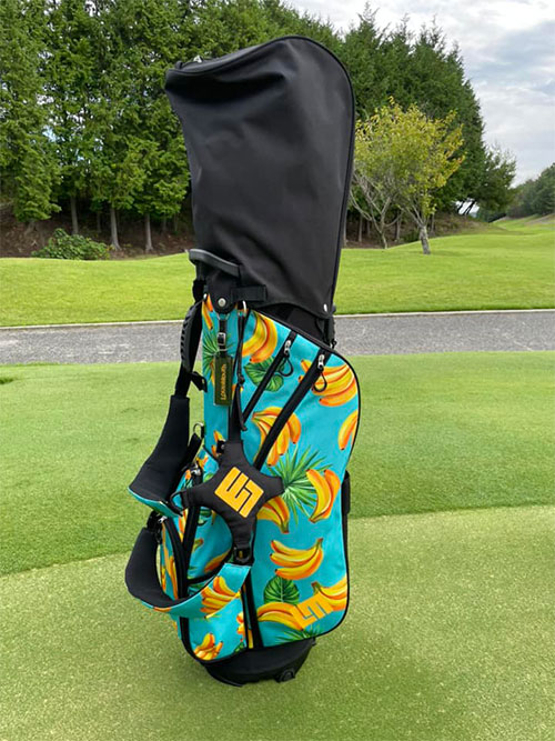 Loudmouth stand caddy bag