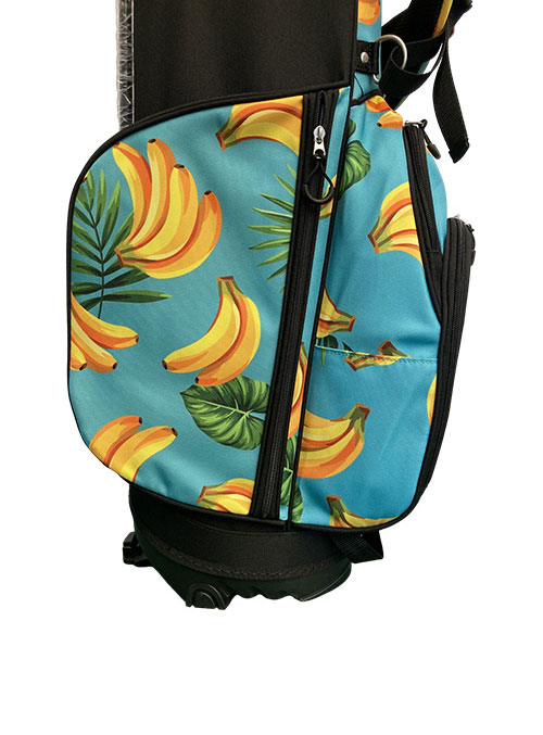 Loudmouth stand caddy bag