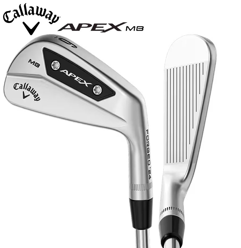 キャロウェイ Callaway エーペックス アイアンセット (2019) APEX(2019) 6S フレックスS 中古 Dランク  :2100359602769:ゴルフパートナーYahoo!店 - 通販 - Yahoo!ショッピング - スポーツ