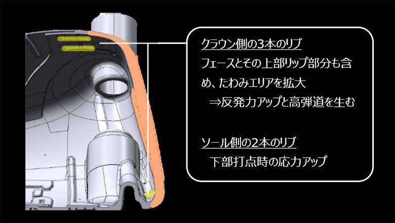 ホンマ　ロイヤルスター