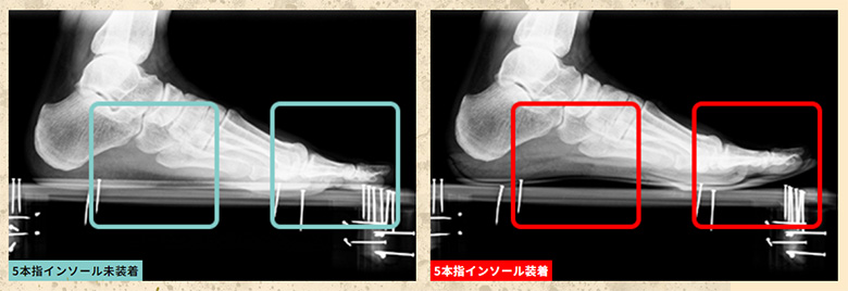 レーブ　インソール