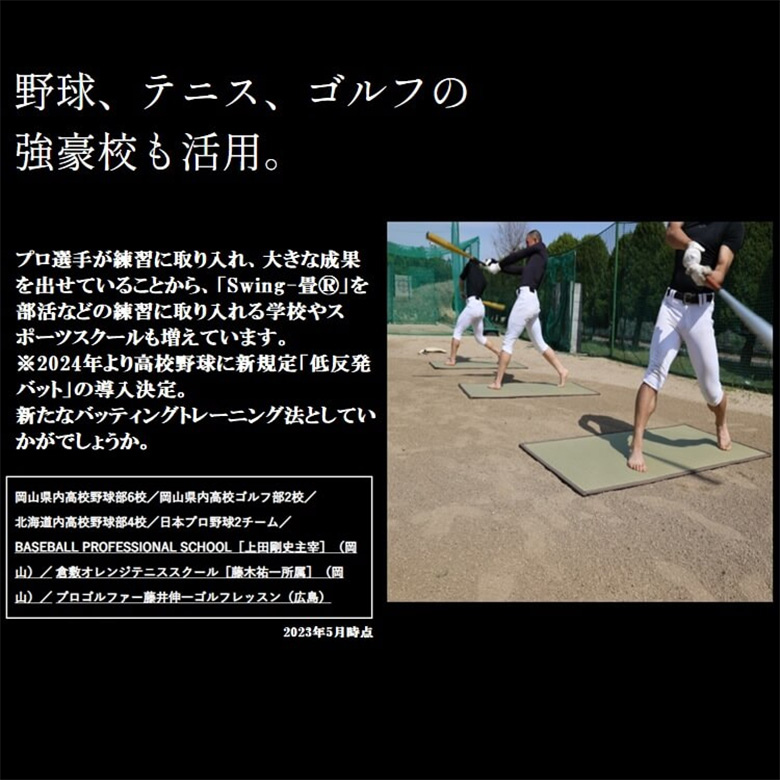 オオシマヤ トレーニングマット