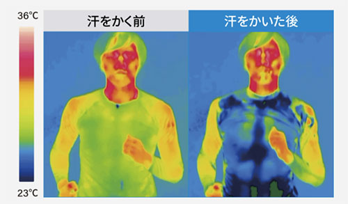リベルタ 半袖インナー