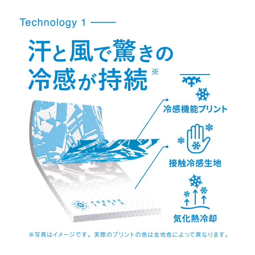 リベルタ Vネック インナー
